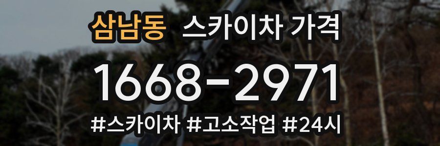 삼남동 스카이차 가격