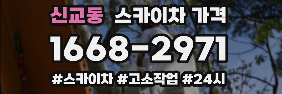 신교동 스카이차 가격