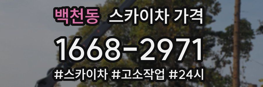 백천동 스카이차 가격