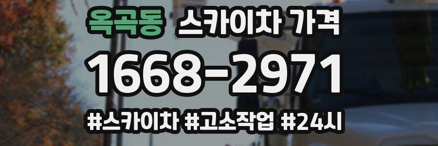 옥곡동 스카이차 가격