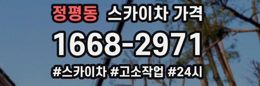 정평동 스카이차 가격