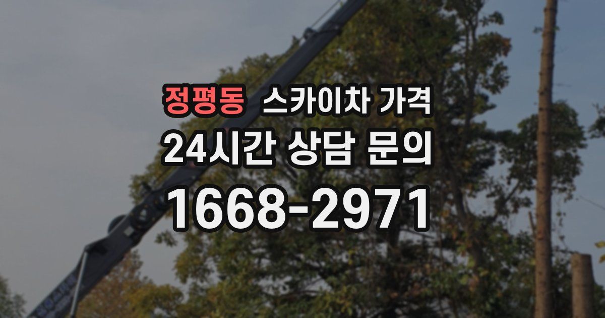 정평동 스카이차 가격