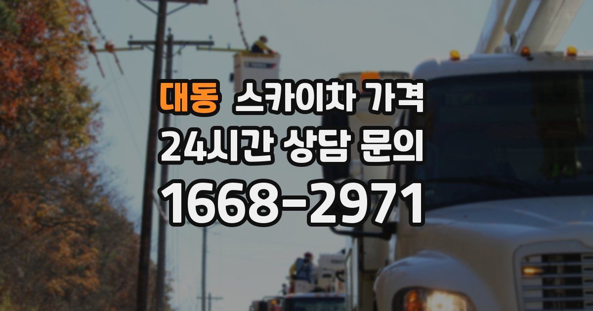 대동 스카이차 가격