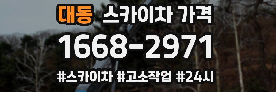 대동 스카이차 가격