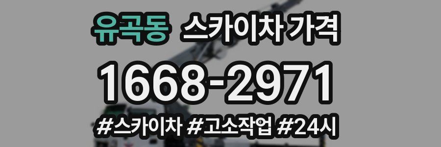 유곡동 스카이차 가격