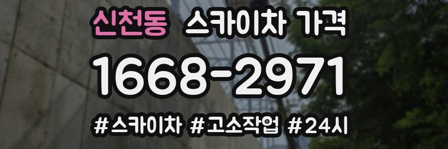 신천동 스카이차 가격