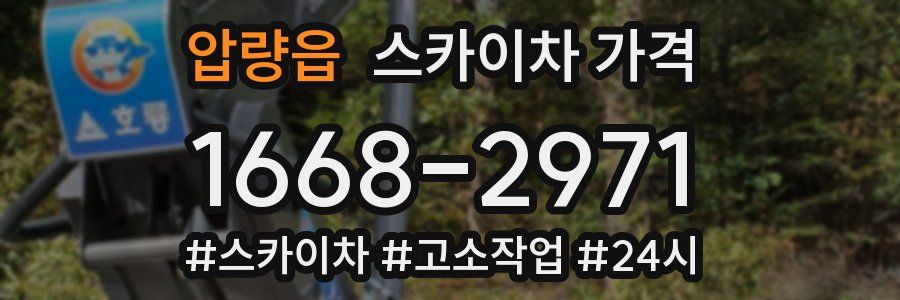 압량읍 스카이차 가격