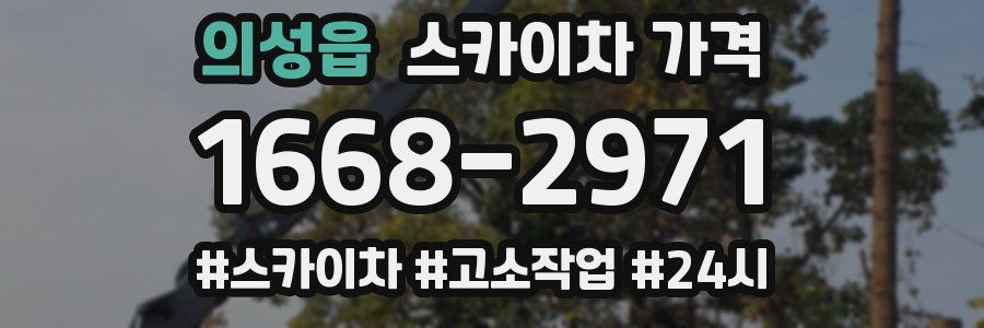 의성읍 스카이차 가격