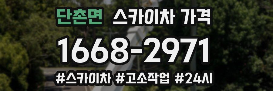 단촌면 스카이차 가격