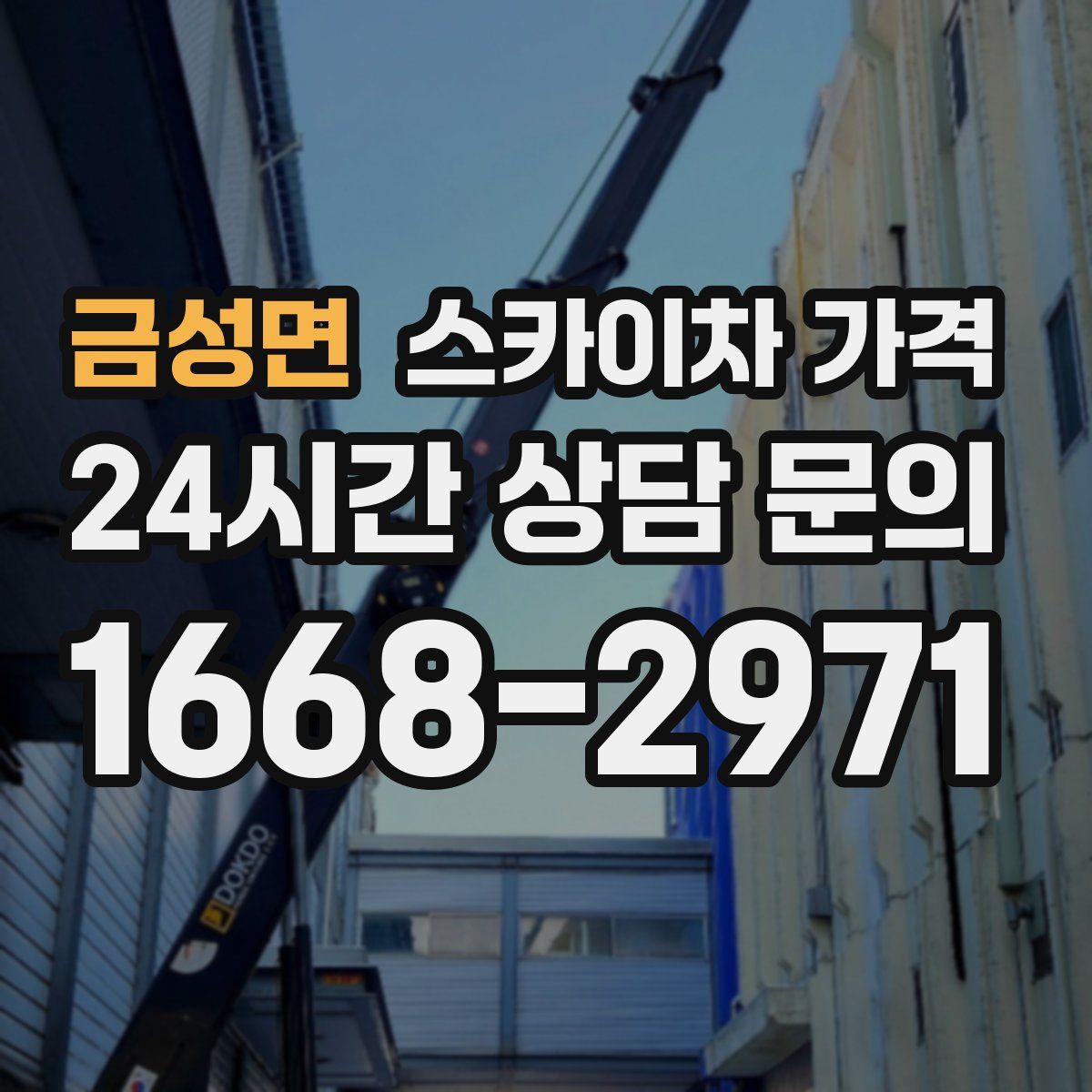 금성면 스카이차 가격