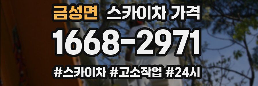 금성면 스카이차 가격