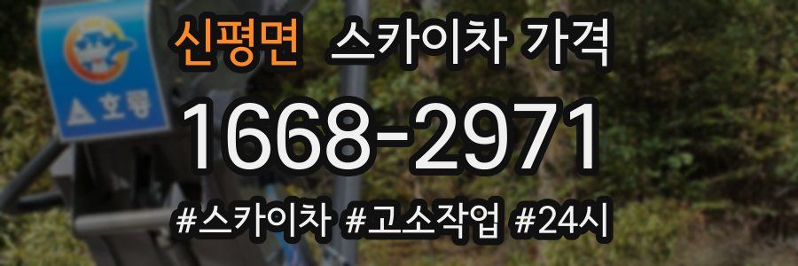 신평면 스카이차 가격