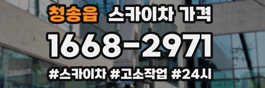 청송읍 스카이차 가격