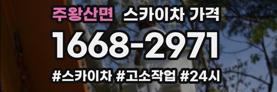 주왕산면 스카이차 가격