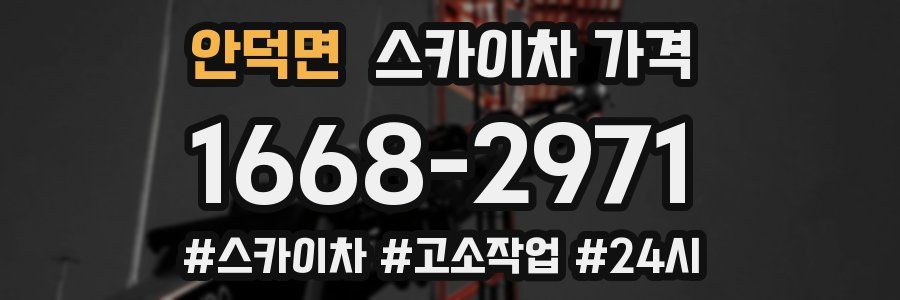 안덕면 스카이차 가격