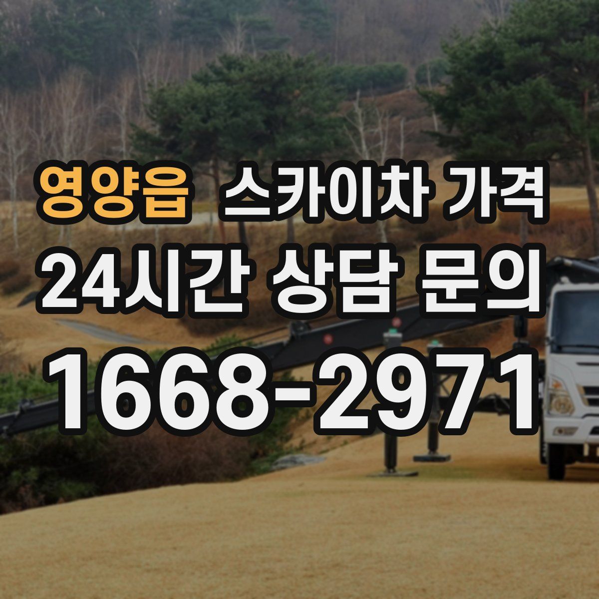 영양읍 스카이차 가격