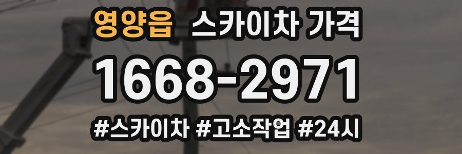 영양읍 스카이차 가격