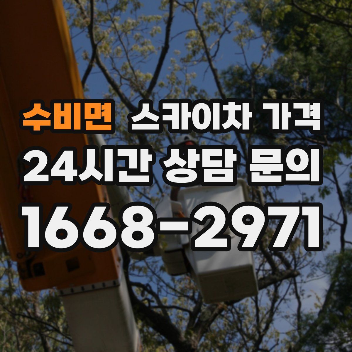 수비면 스카이차 가격