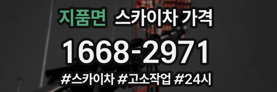 지품면 스카이차 가격