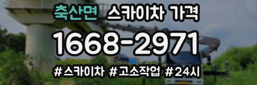 축산면 스카이차 가격