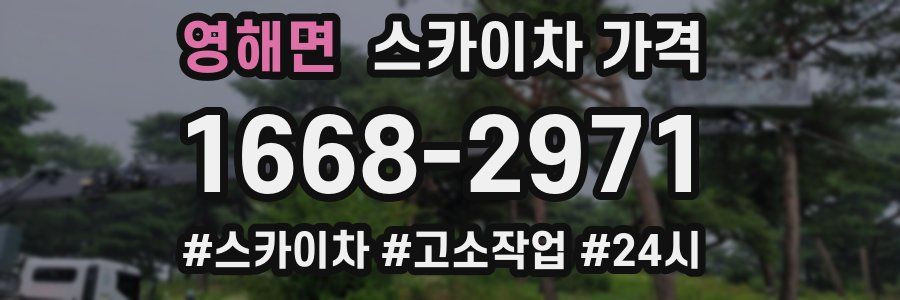 영해면 스카이차 가격