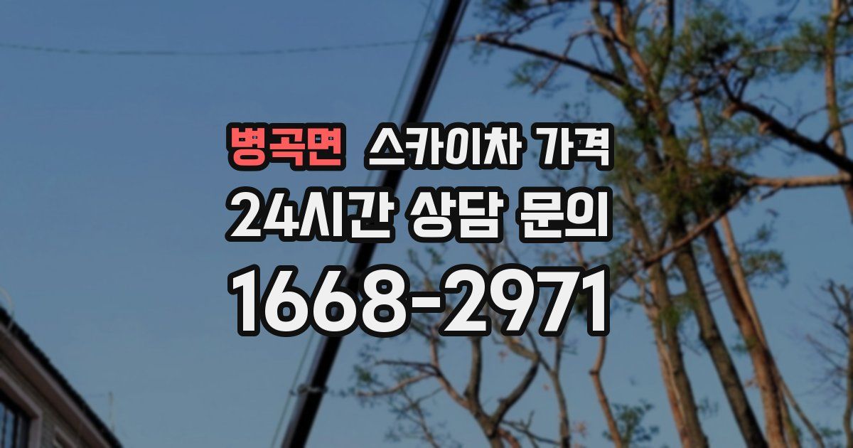 병곡면 스카이차 가격