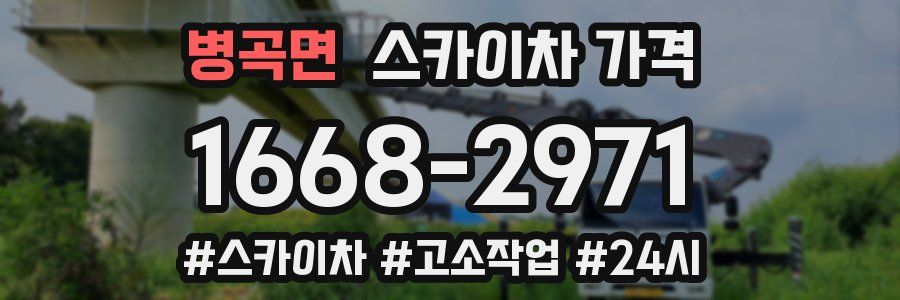 병곡면 스카이차 가격