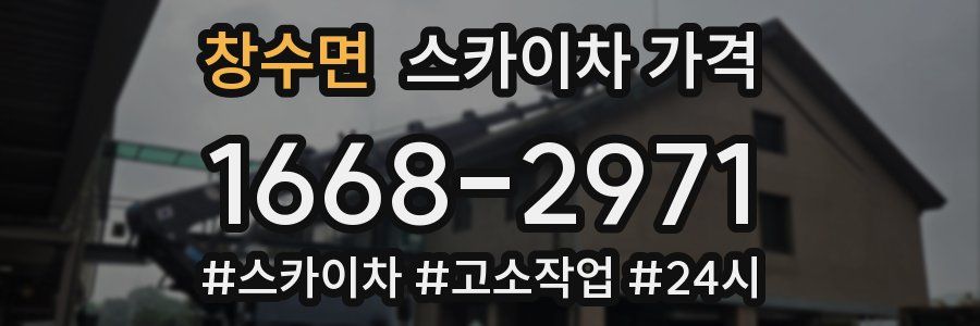 창수면 스카이차 가격