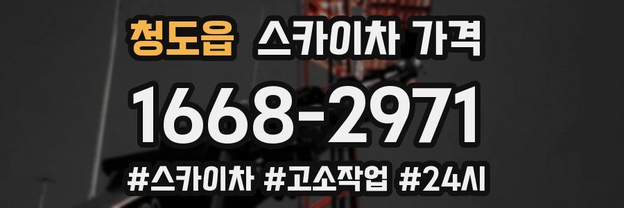 청도읍 스카이차 가격