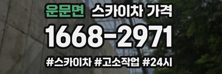 운문면 스카이차 가격