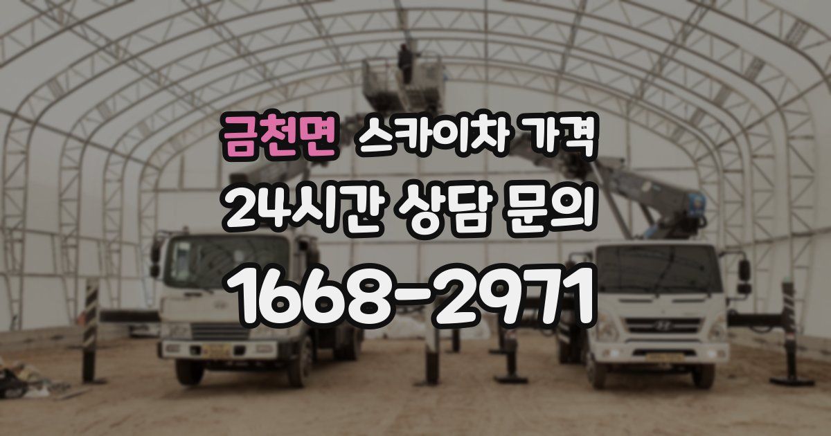 금천면 스카이차 가격