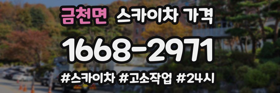 금천면 스카이차 가격