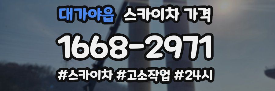 대가야읍 스카이차 가격