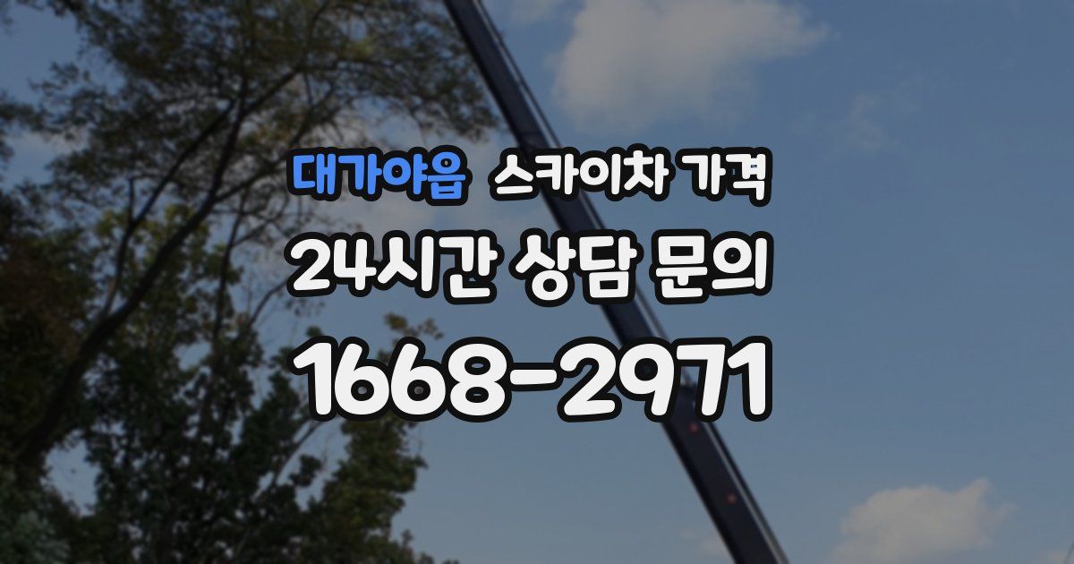 대가야읍 스카이차 가격