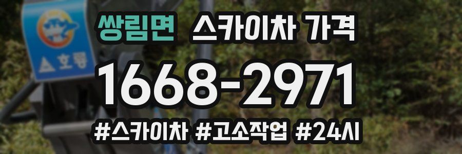 쌍림면 스카이차 가격