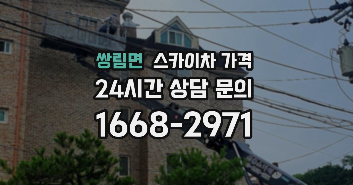 쌍림면 스카이차 가격