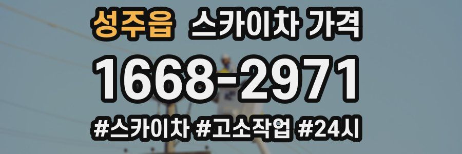 성주읍 스카이차 가격