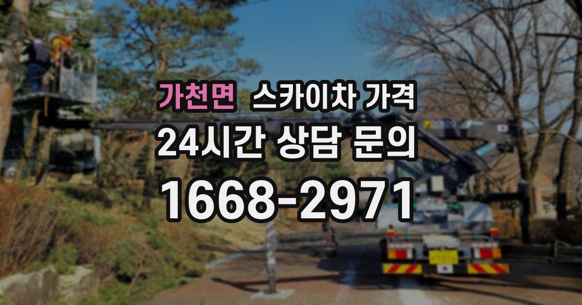 가천면 스카이차 가격