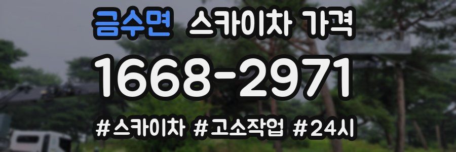 금수면 스카이차 가격