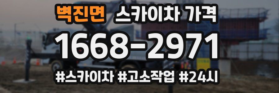 벽진면 스카이차 가격