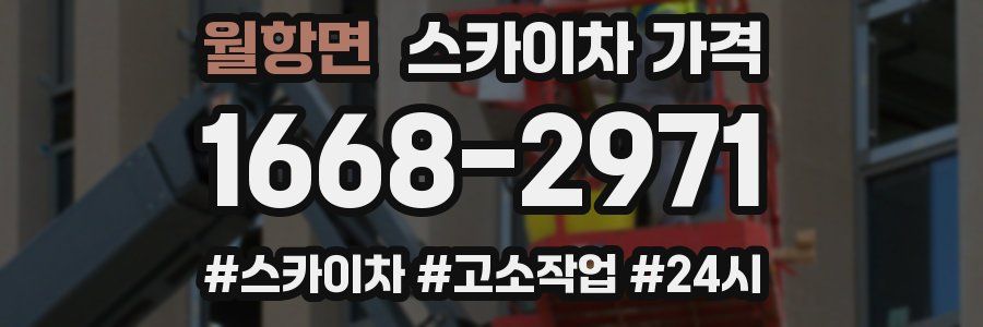 월항면 스카이차 가격