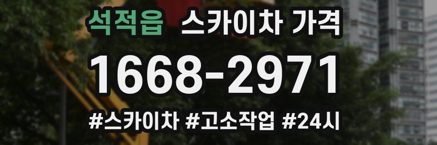 석적읍 스카이차 가격