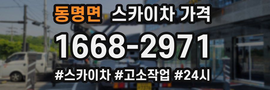 동명면 스카이차 가격