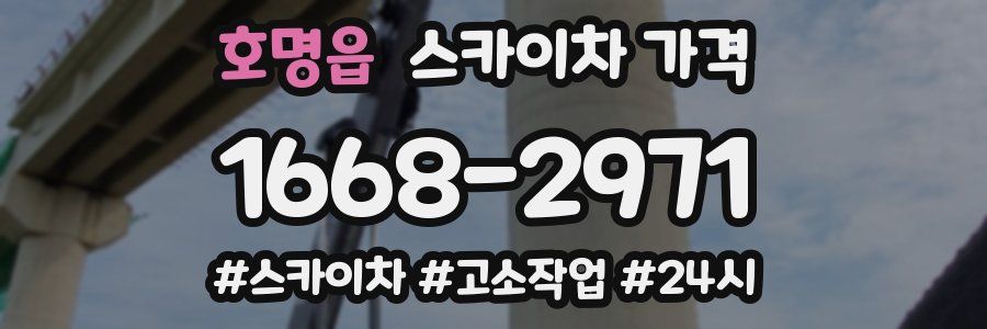 호명읍 스카이차 가격