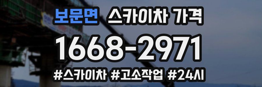 보문면 스카이차 가격