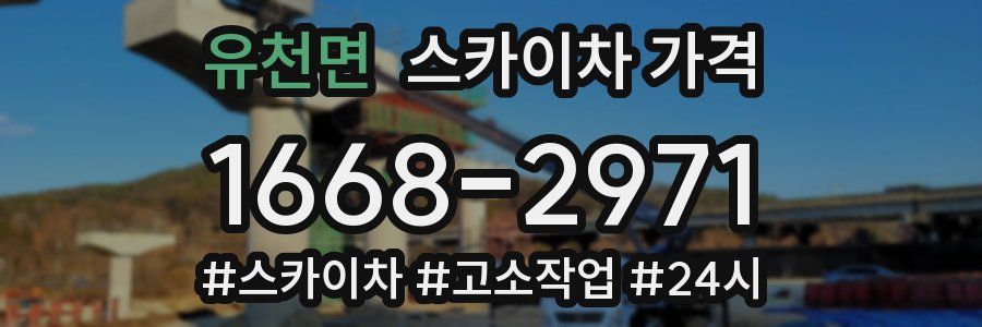 유천면 스카이차 가격