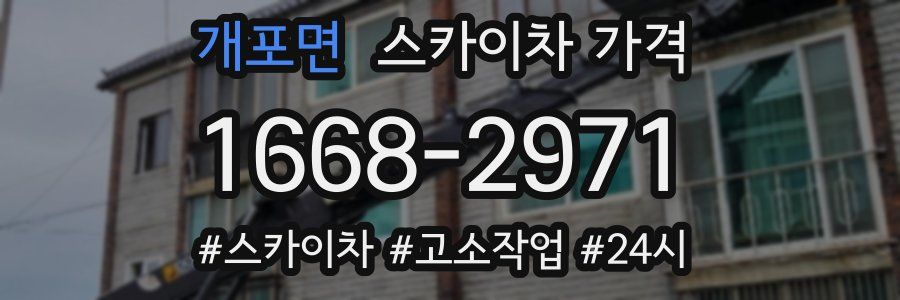 개포면 스카이차 가격