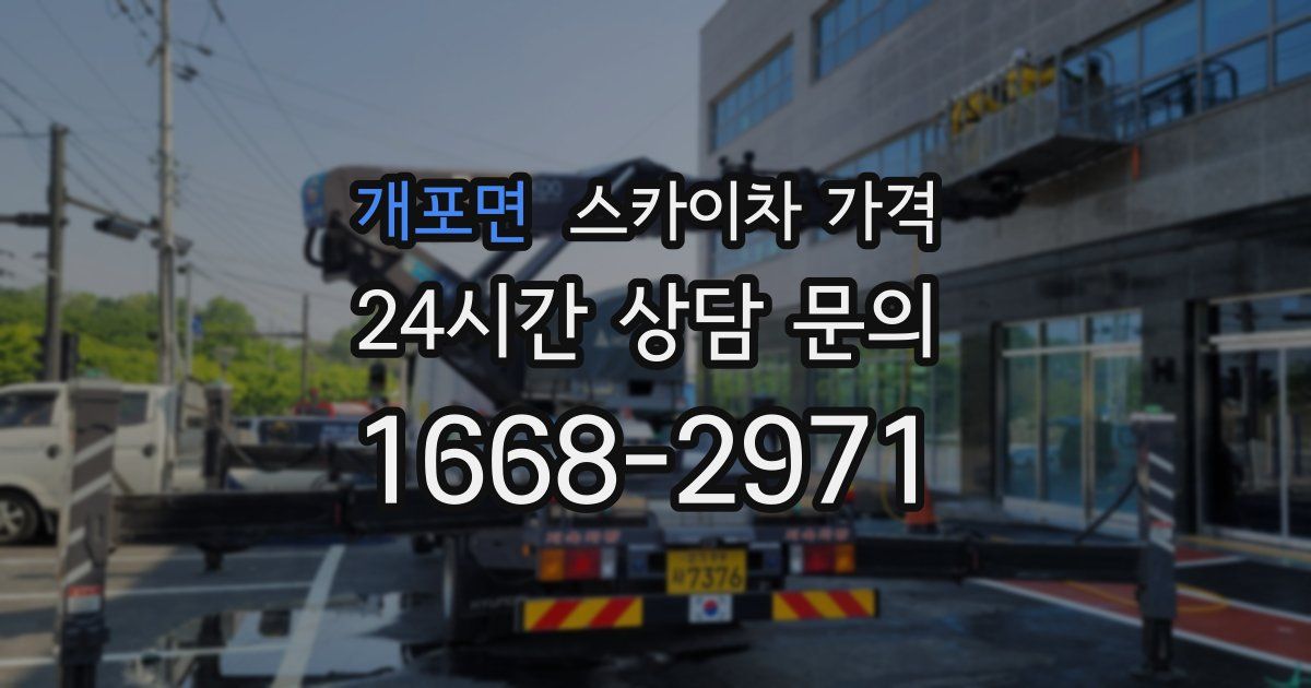 개포면 스카이차 가격