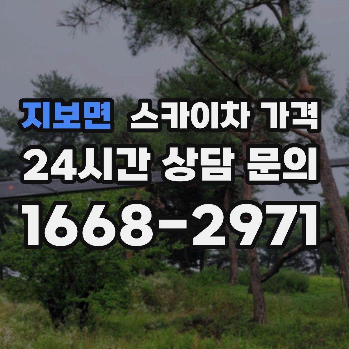 지보면 스카이차 가격