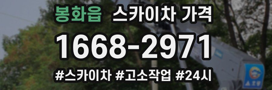 봉화읍 스카이차 가격